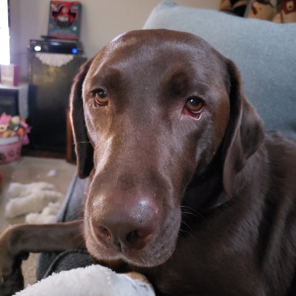 Meet your Posher, Becky - Posh Ambassador!!❤❤ - Picture 3 of 7